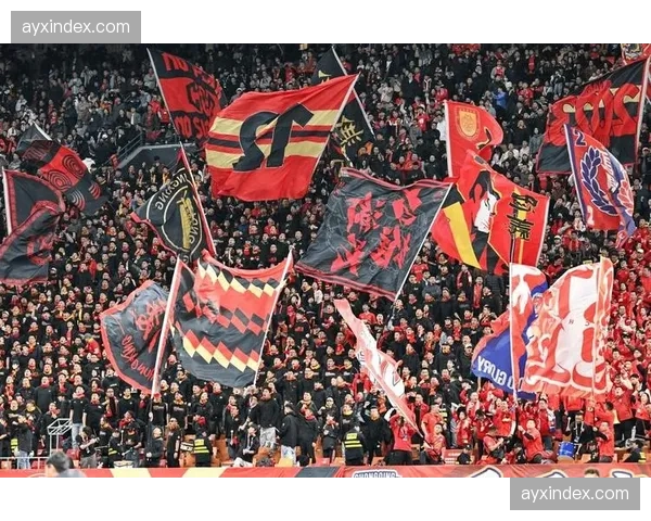 重庆铜梁龙主场55423名球迷助威，创本赛季中超单场观众人数新高